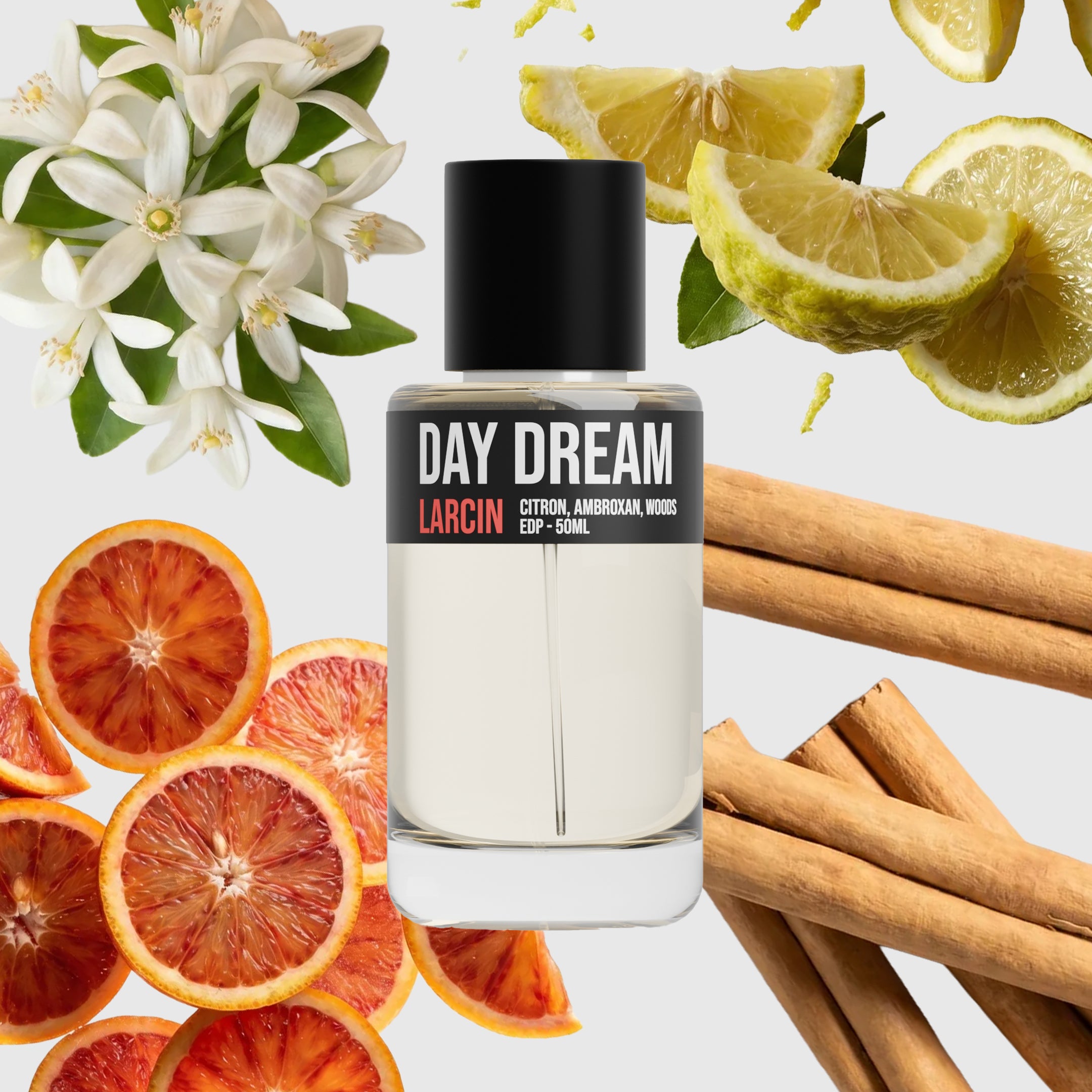 Day Dream