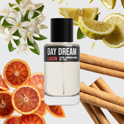 Day Dream scent notes — citrus, tea, ginger, amber, soft woods — Larcin