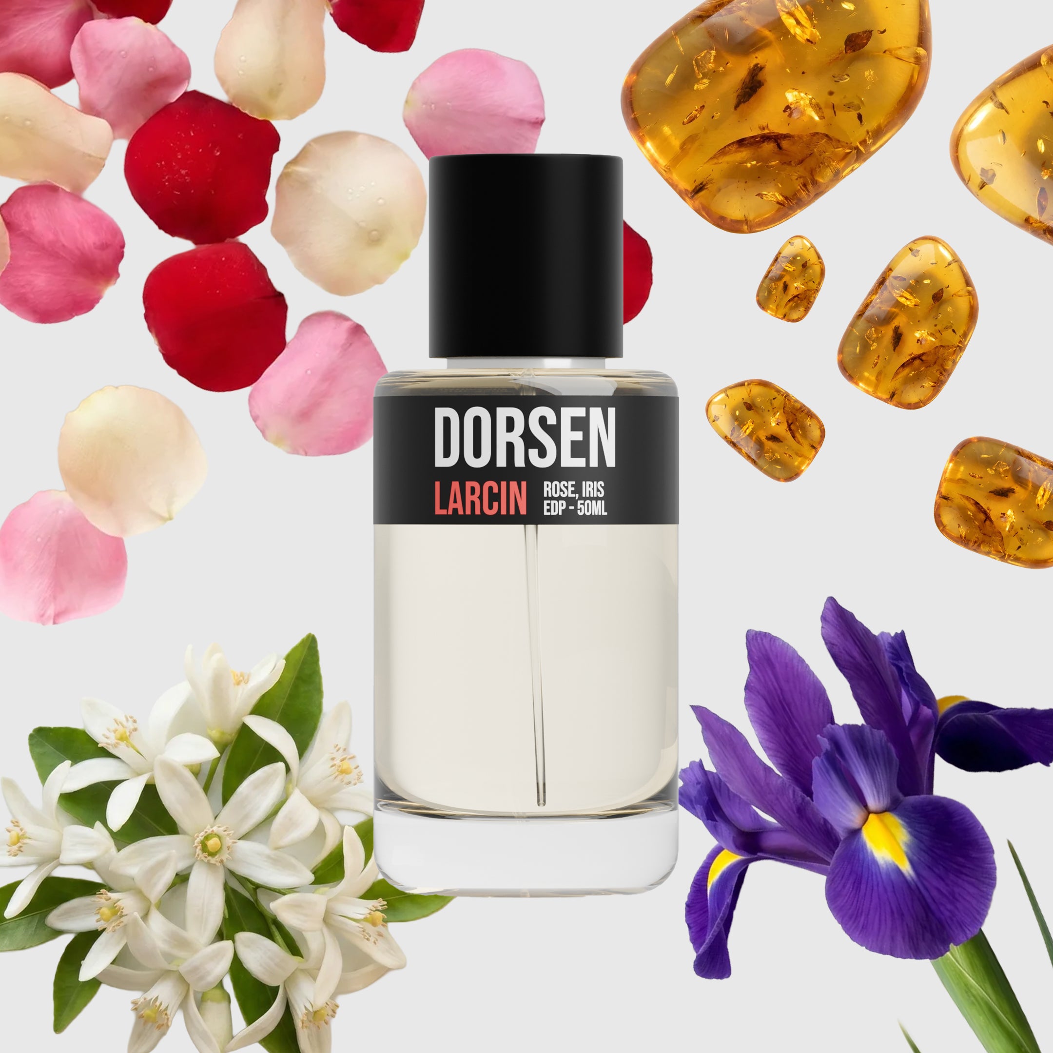 Dorsen