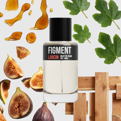 Figment scent notes — fig leaf, creamy fig, coconut, cedar — Larcin