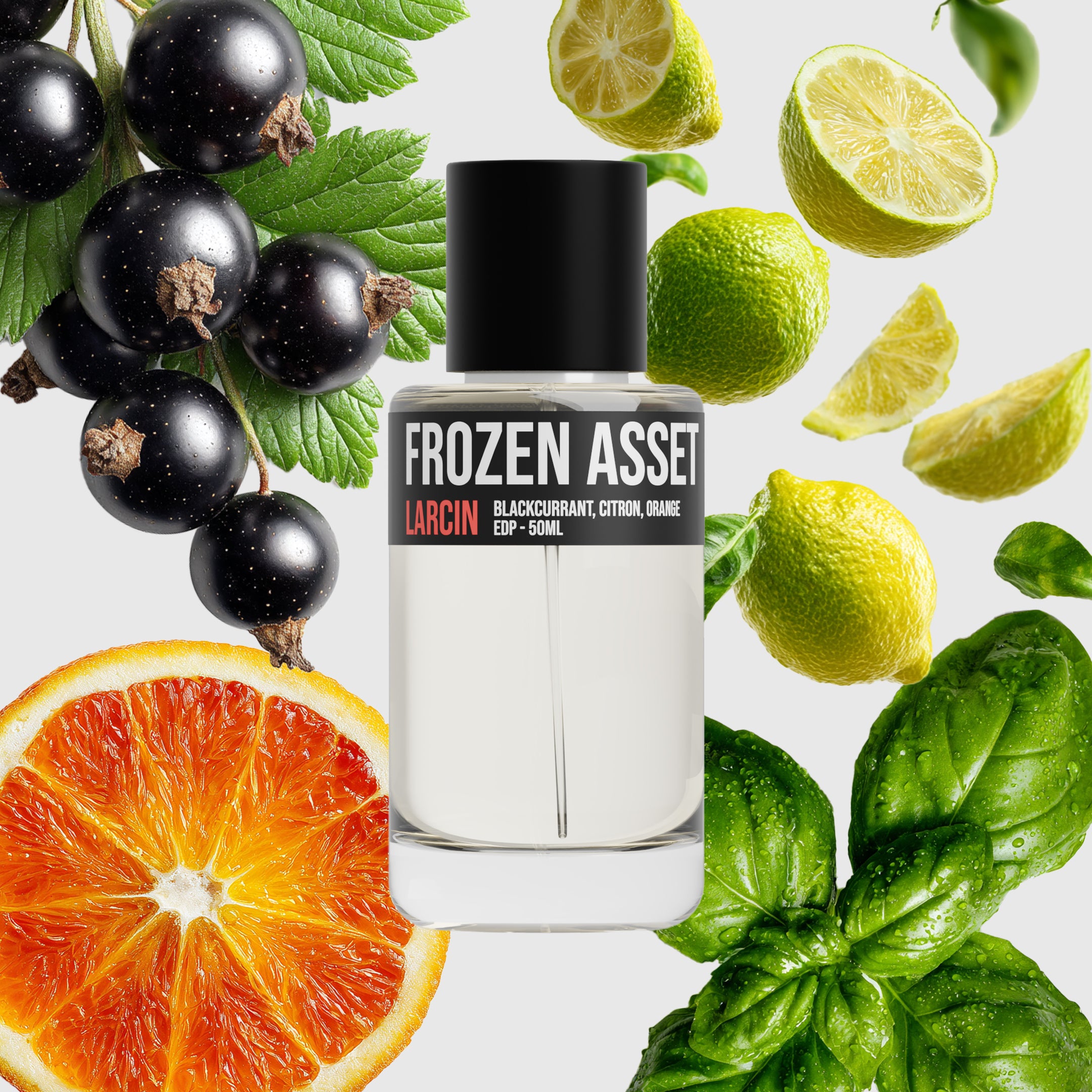 Frozen Asset - 50ml