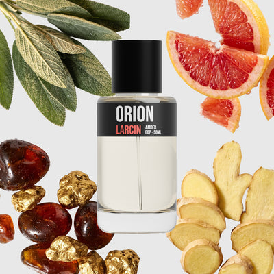 Orion