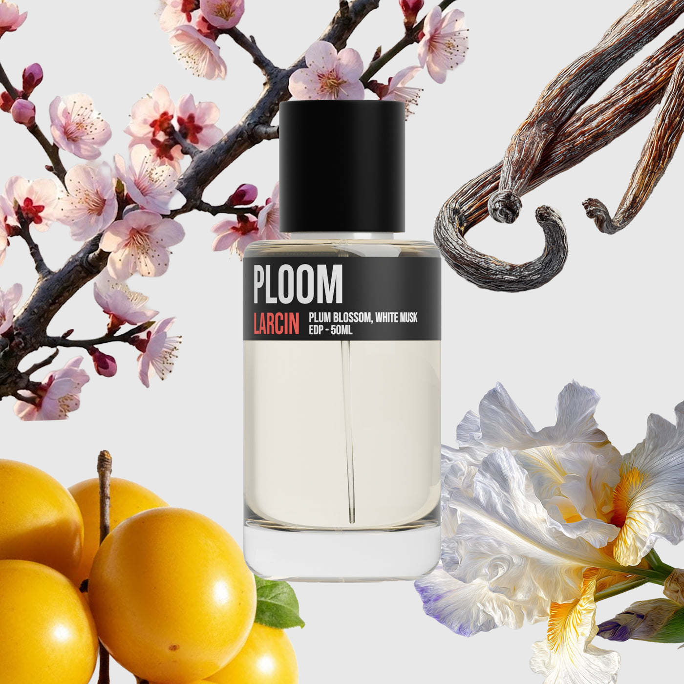 Ploom scent notes — ripe plum, airy citrus, soft florals, clean musk — Larcin