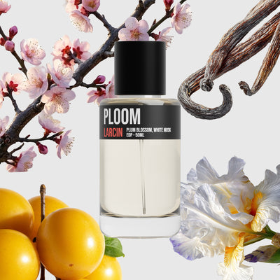 Ploom scent notes — ripe plum, airy citrus, soft florals, clean musk — Larcin