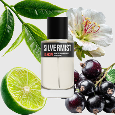 Silvermist scent notes — bergamot, blackcurrant, green tea, musk, sandalwood — Larcin