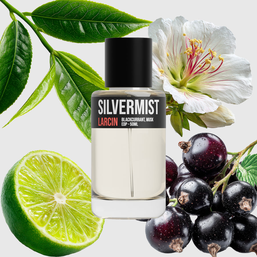 Silvermist scent notes — bergamot, blackcurrant, green tea, musk, sandalwood — Larcin